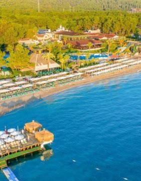 GYPSOPHILA CLUB MARINE